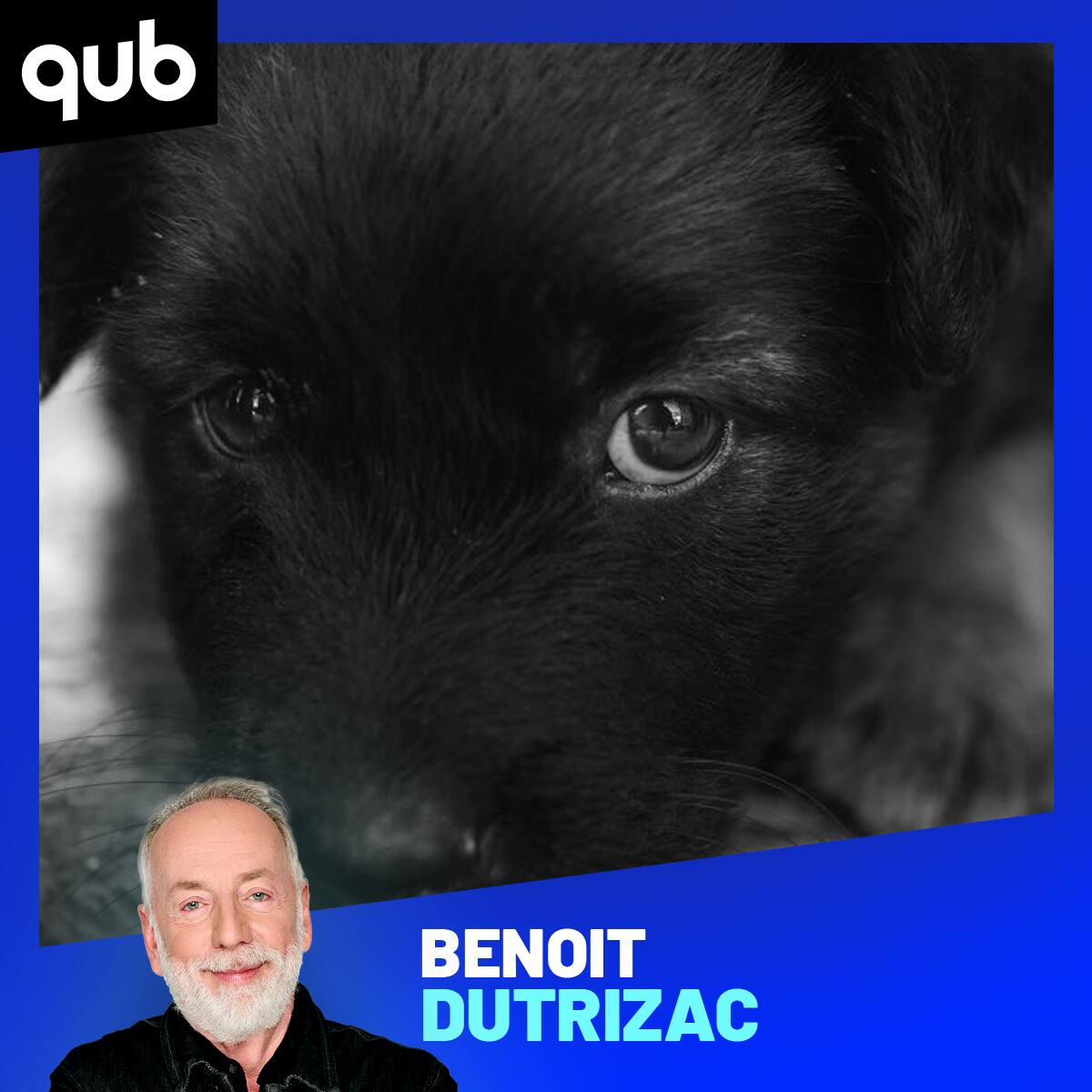 «Le chien est l'animal qui nous comprend le plus dans le règne animal ...