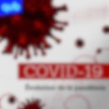 COVID-19 - Évolution de la pandémie